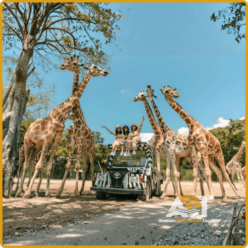 Dubai Safari Park Adventure & Nature