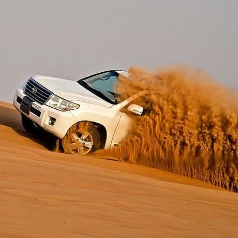 Home 30 Desert Safari Dubai Tour