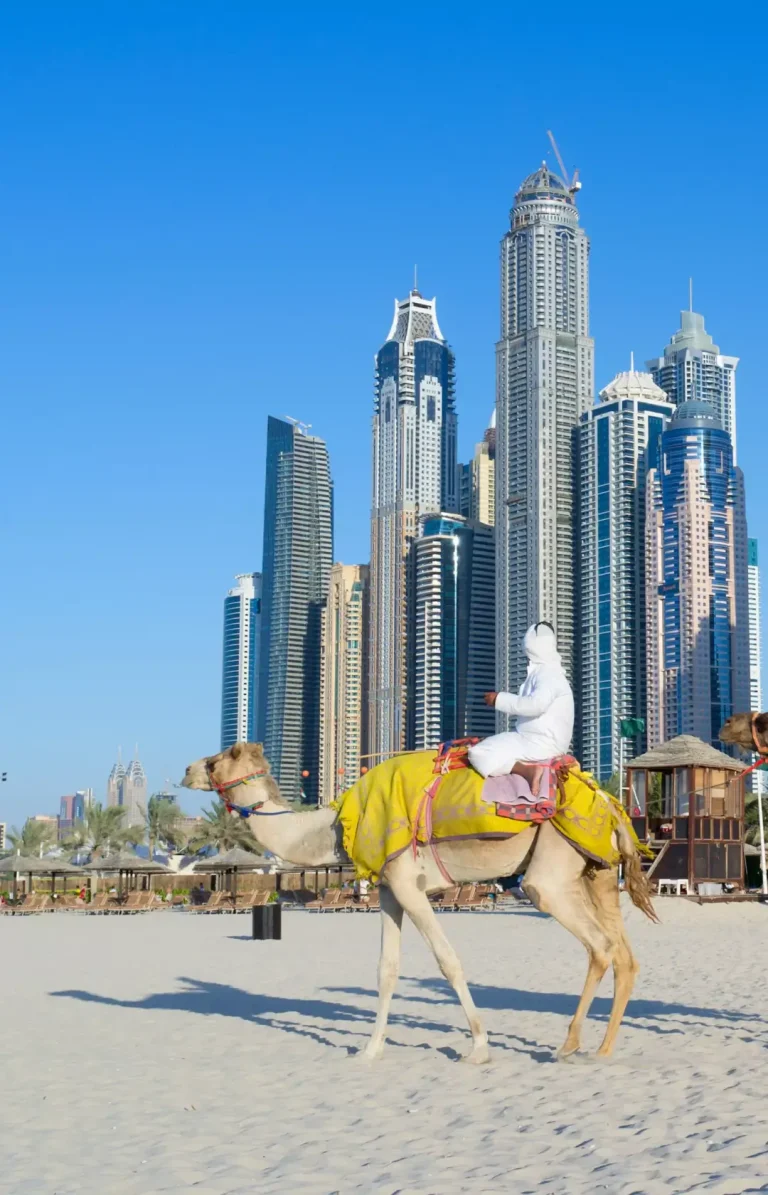 Contact 1 Get in touch with us