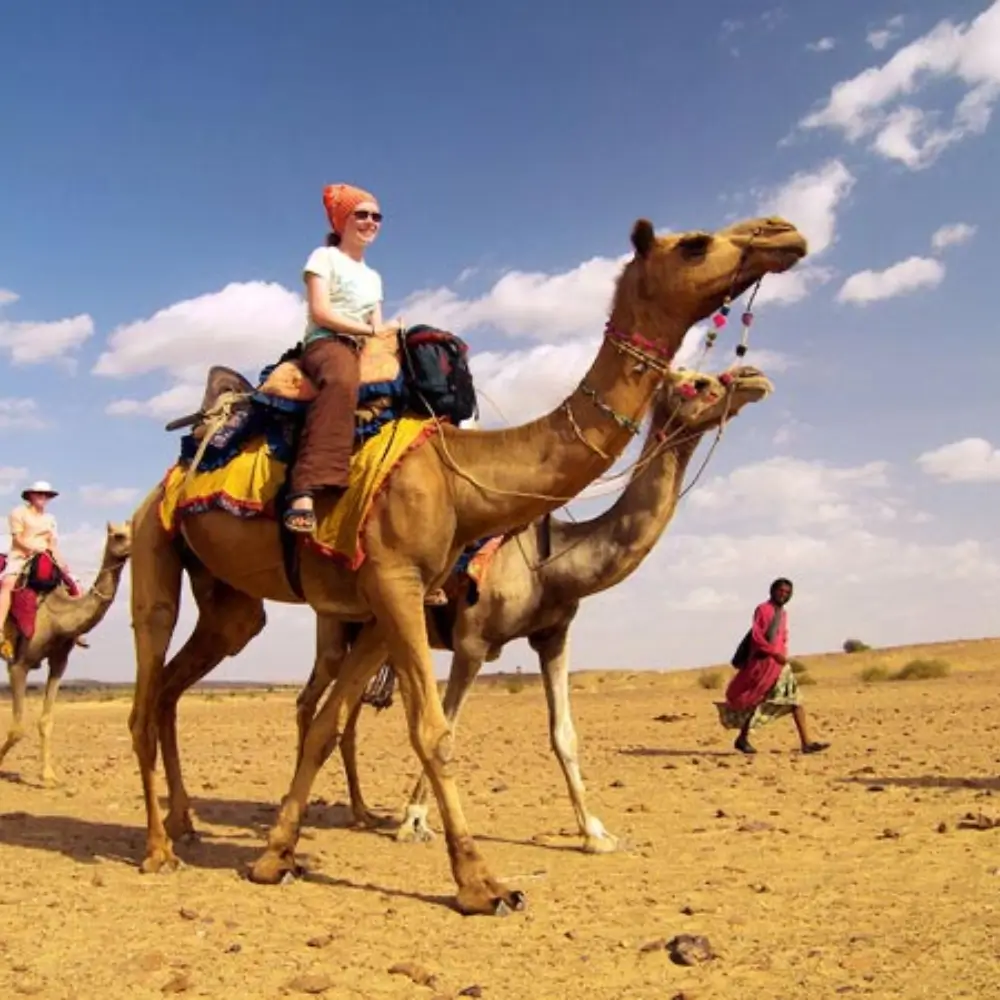 Desert Safari 30 desert safari Travel