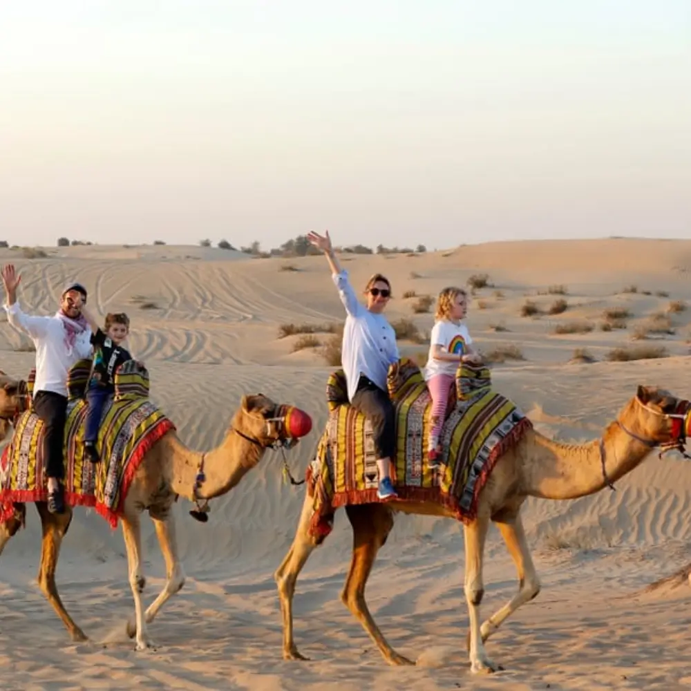 Desert Safari 31 desert safari enjoyment