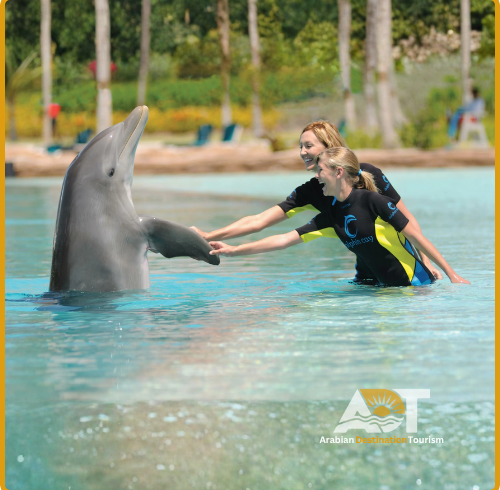 Dolphin Bay Atlantis