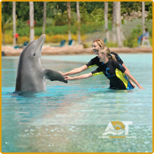 Dolphin Bay Atlantis