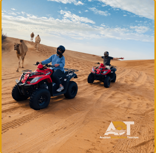 Dubai Desert Safari Camel Ride and Sandboarding