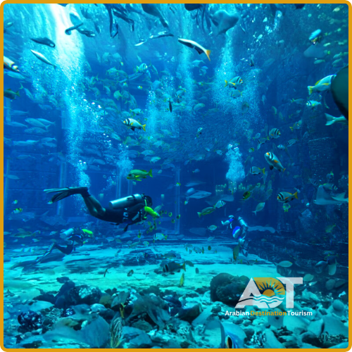 Lost Chamber Aquarium