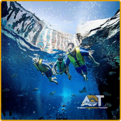 Lost Chamber Aquarium