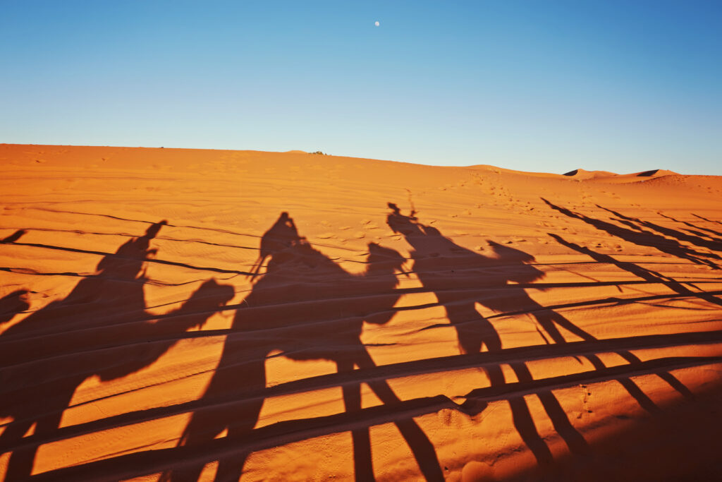 Evening Desert Safari Dubai