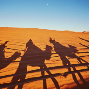 Evening Desert Safari Dubai