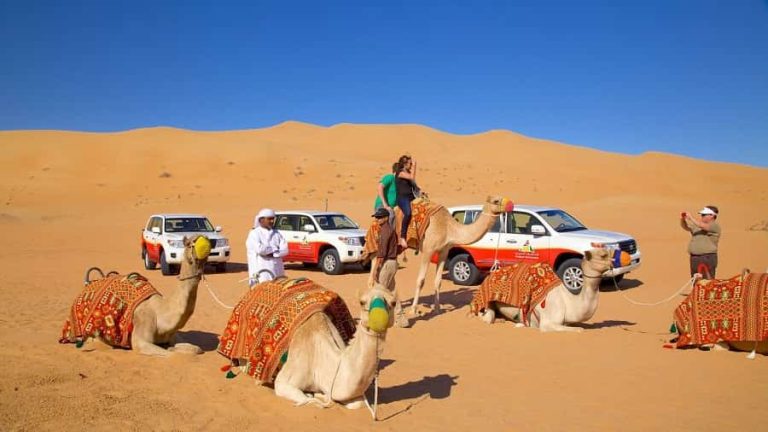 Safari for Kids
