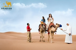 Desert Safari with Camel Ride