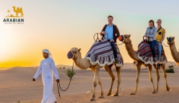Morning Desert Safari