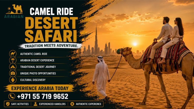 Camel ride on a Dubai desert safari